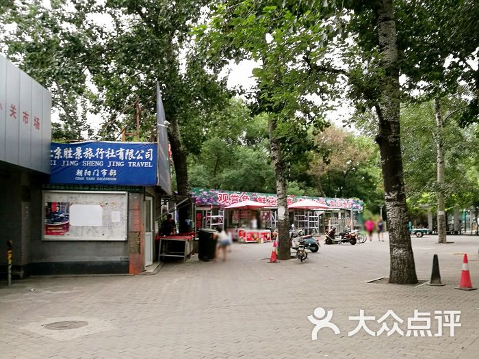 香河园公园路图片 - 第5张