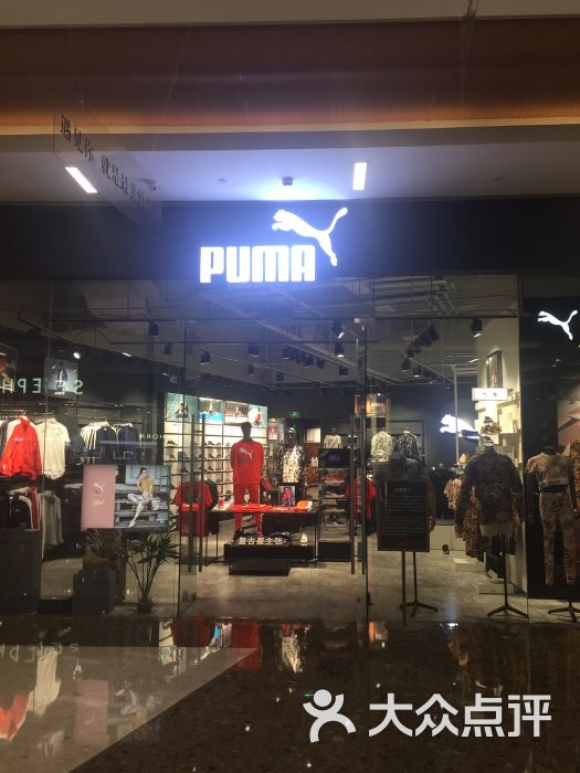 puma专卖店图片 - 第4张