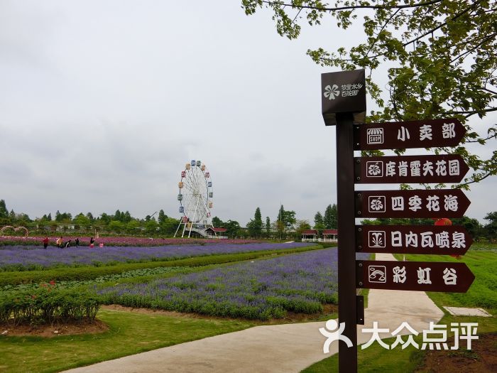 梦里水乡百花园图片 - 第121张