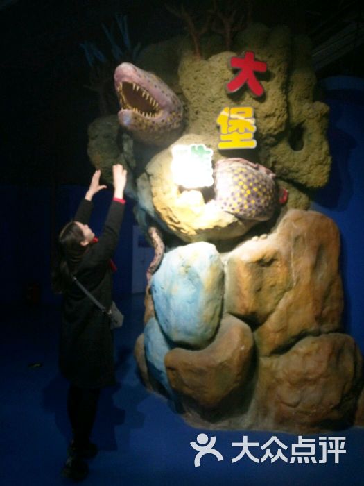 重庆欢乐海底世界-图片-重庆周边游