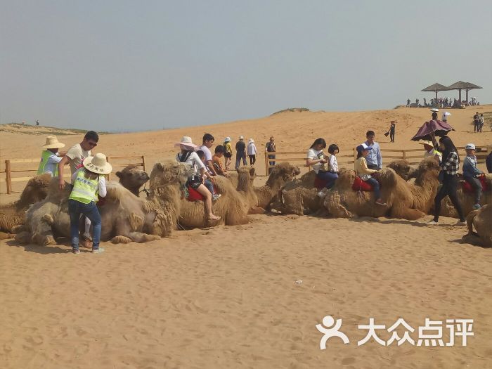 厚田沙漠生态旅游景区图片 - 第3张