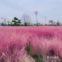 北龙湖湿地公园