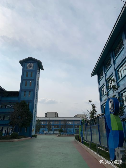 泡桐树小学(都江堰校区)图片