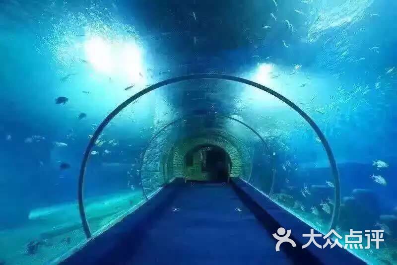 正佳极地海洋世界-图片-广州周边游-大众点评网