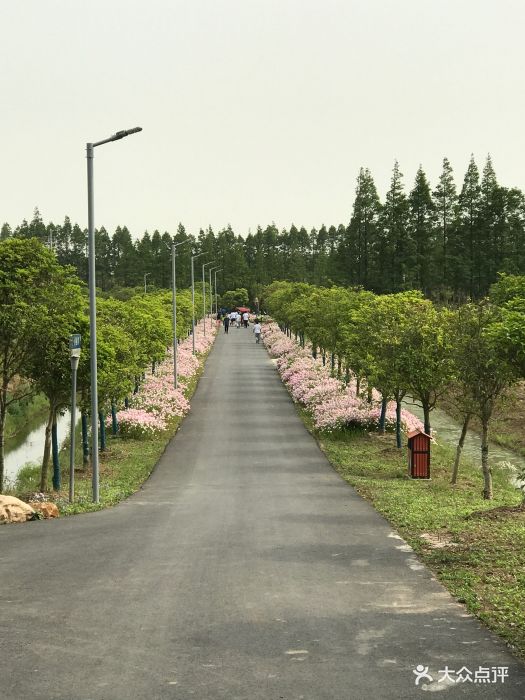 长兴岛郊野公园图片