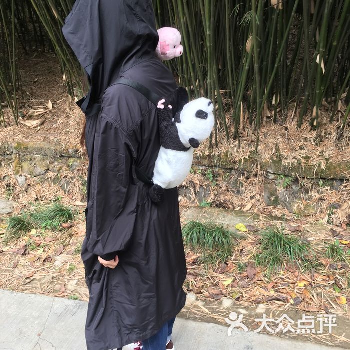 大熊猫繁育研究基地