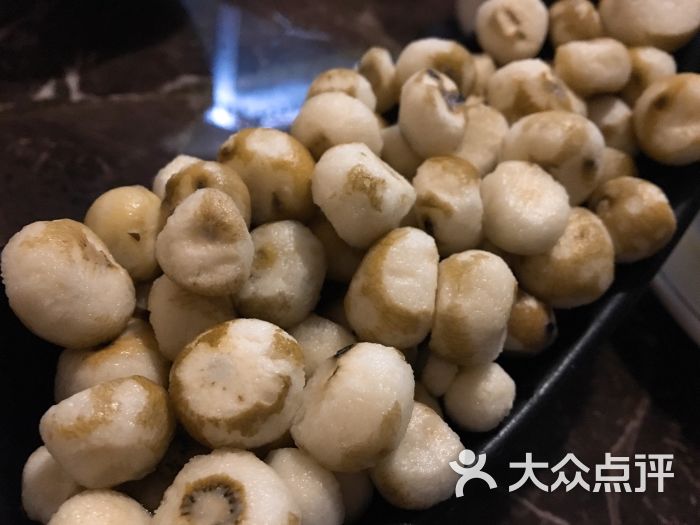 野生珍珠马蹄竹笙