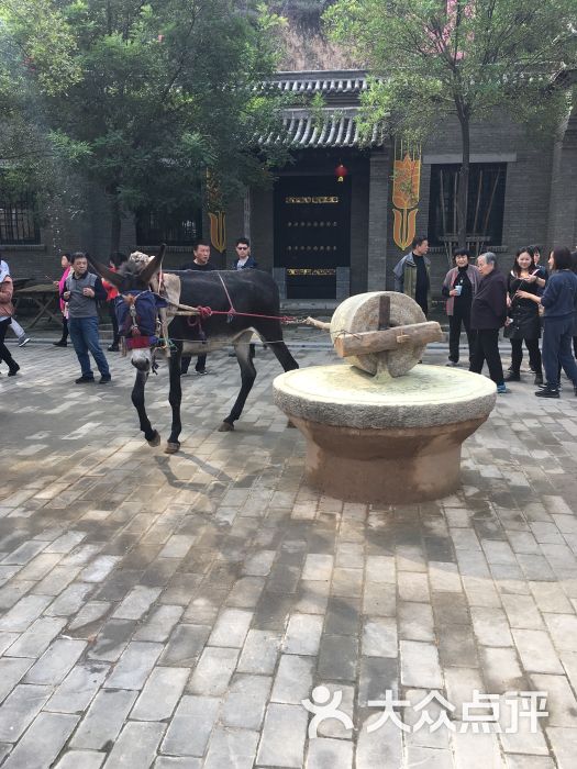 龙泉公社图片 - 第4张