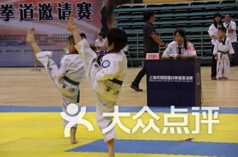 跆拳道排名_跆拳道卡通图片(2)