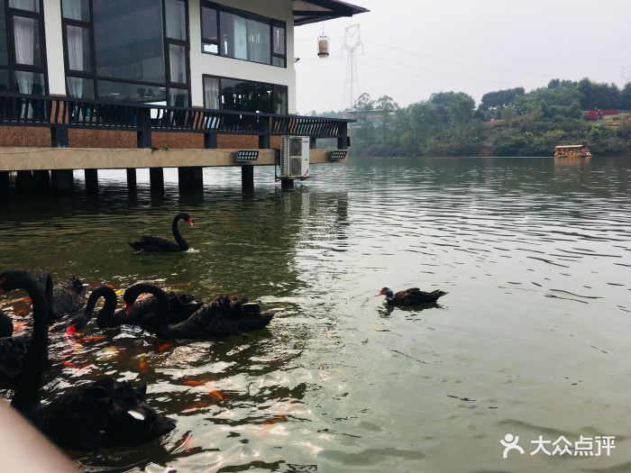 桂花湖亲子乐园图片