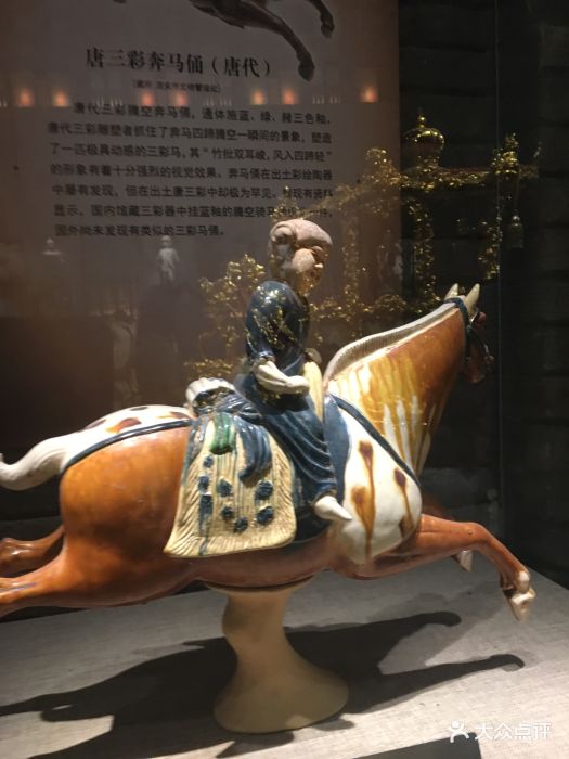 海澜马文化博物馆-图片-江阴周边游-大众点评网