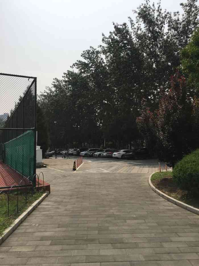 朝阳公园停车场-"朝阳公园停车场干净整洁,停车位充足