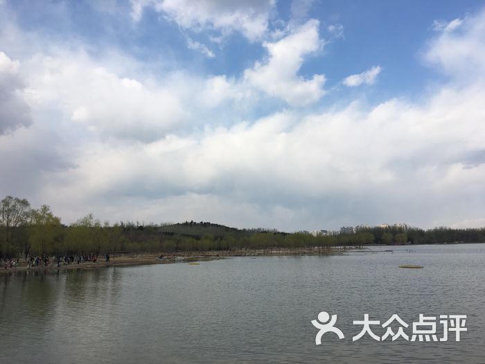 奥林匹克森林公园北园南门停车场-图片-北京爱