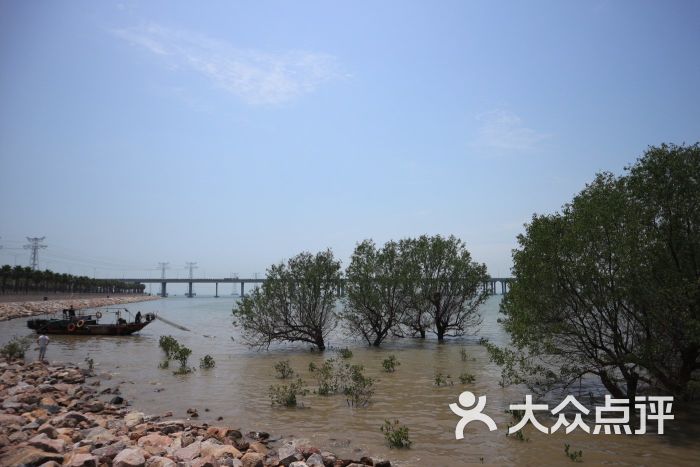 宝安西湾红树林湿地公园图片 第3张