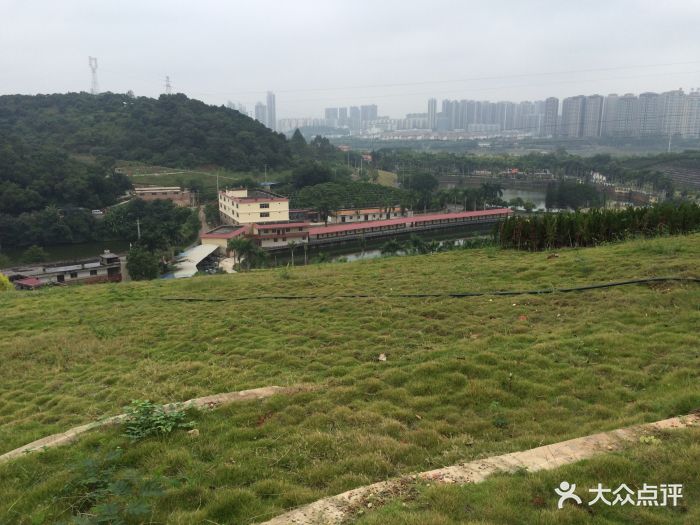 青龙岗-长安园-图片-南宁生活服务-大众点评网