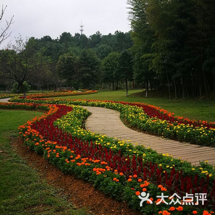 长沙园林生态园图片-北京植物园-大众点评网