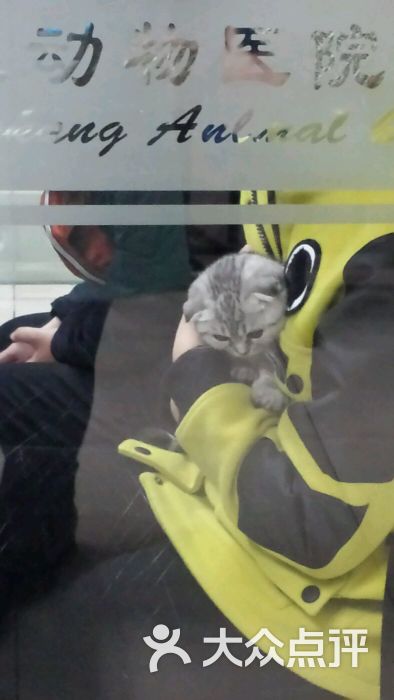 望康动物医院(朝阳北路医院)-图片-北京宠物