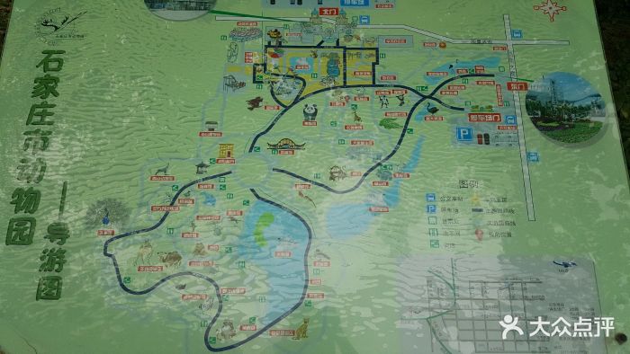 石家庄动物园图片