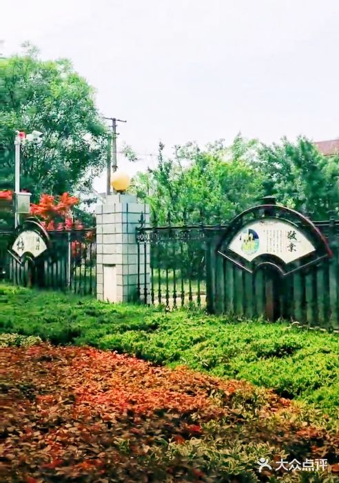 南京师范大学附属中学江宁分校汤山小学图片