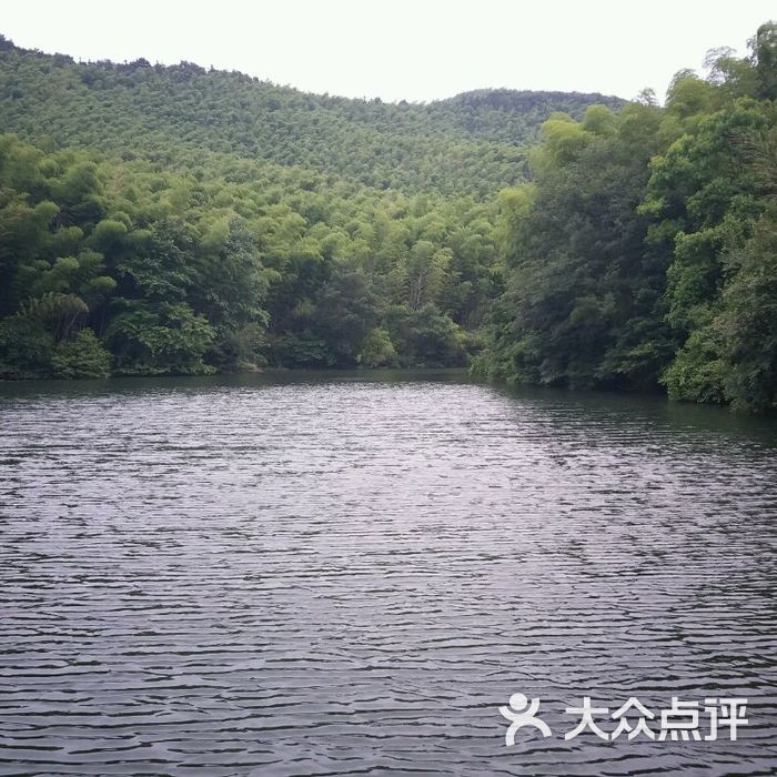 石塘竹海