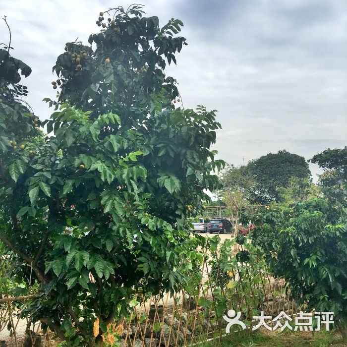 思源农庄的点评