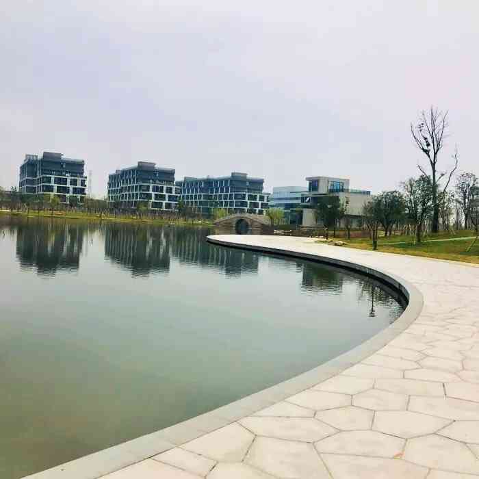 浙江师范大学行知学院(兰溪校区)-"校园还是新建的,的