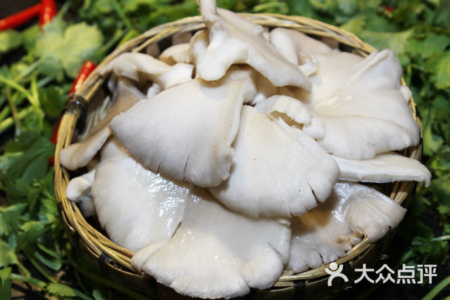 重庆7号老码头火锅平菇图片 - 第16张