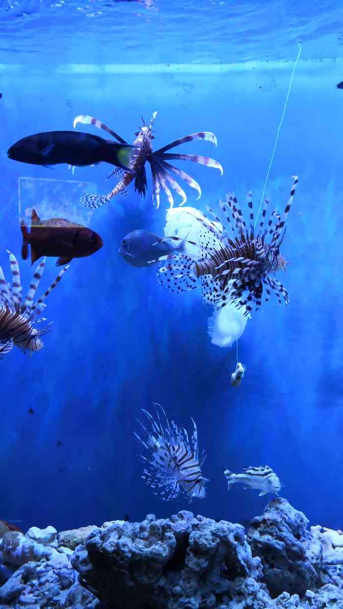 太平洋海底世界博览馆