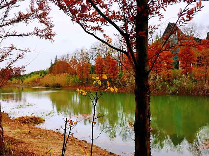 和**坐地铁到最后一站森林公园站,以为出来就是了,结果走了一公里左右