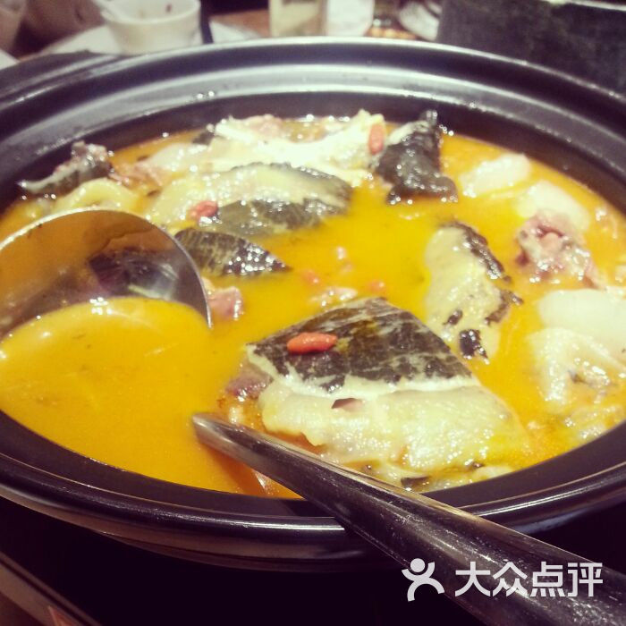 金汤甲鱼                 辣辣的食界           辣辣的食界