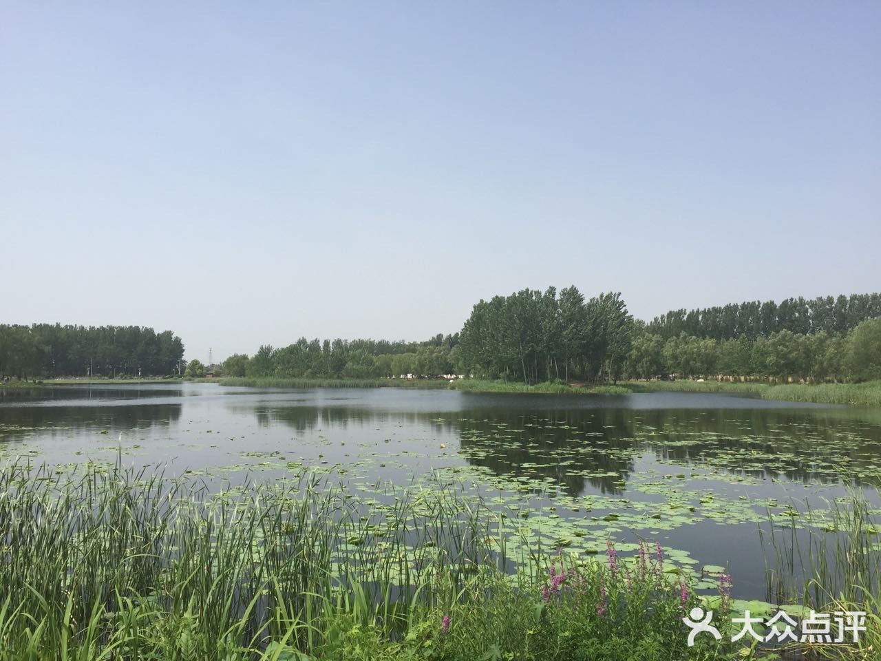 北京房山长沟湿地公园位于北京市房山区长沟镇