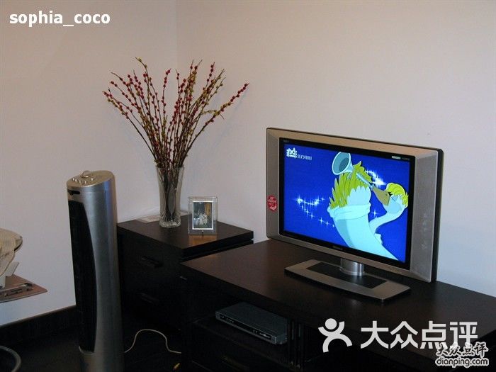 东方CJ电视购物-东方CJ 买的电视机46寸图片