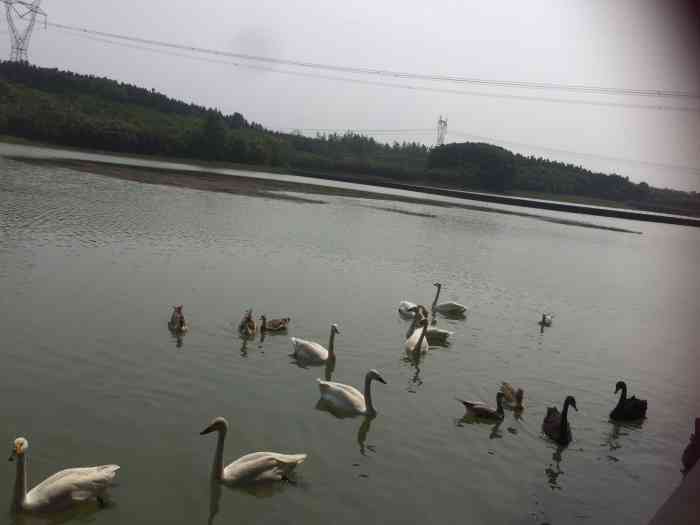 仙鹤湖湿地园-"去过的唯一的公园式墓地由泰康投资,不