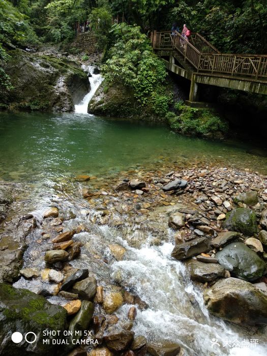 瓦屋山景区图片