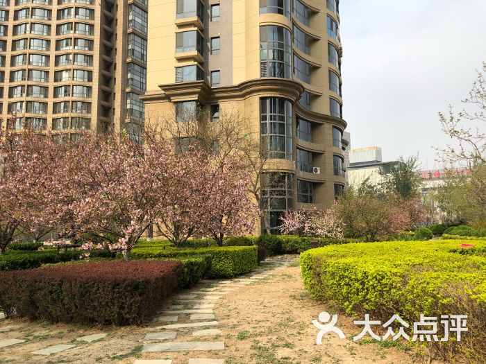 金领花园-图片-天津生活服务-大众点评网