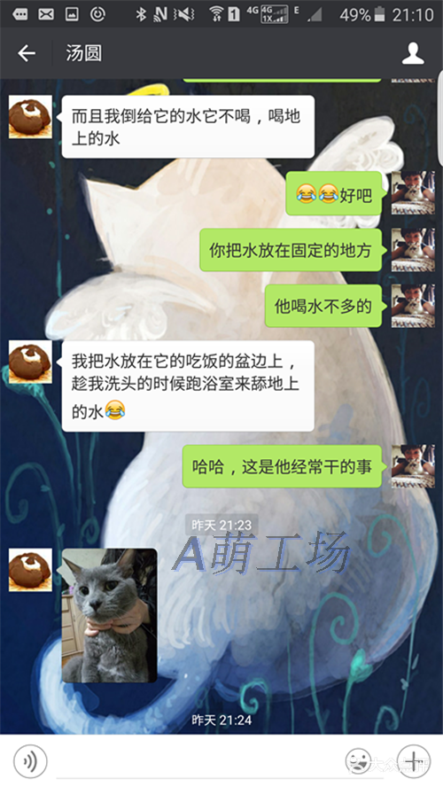 手机订单及买家聊天记录