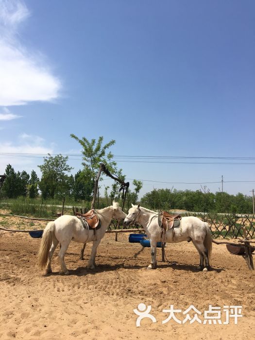 大荔皇家沙苑景区图片 - 第4张