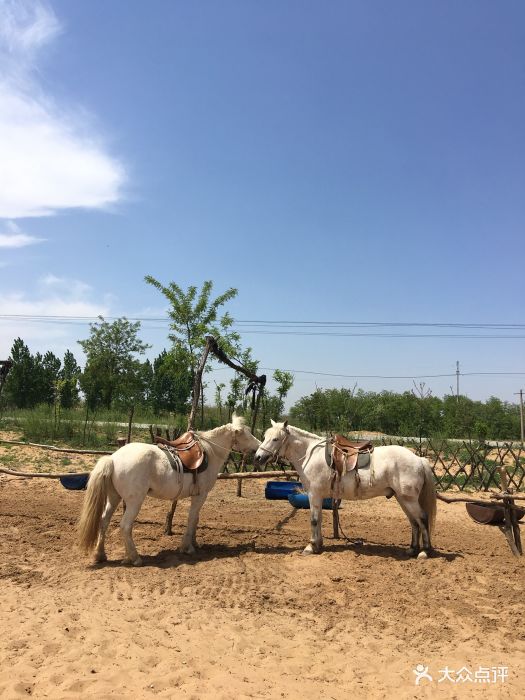 大荔皇家沙苑景区图片