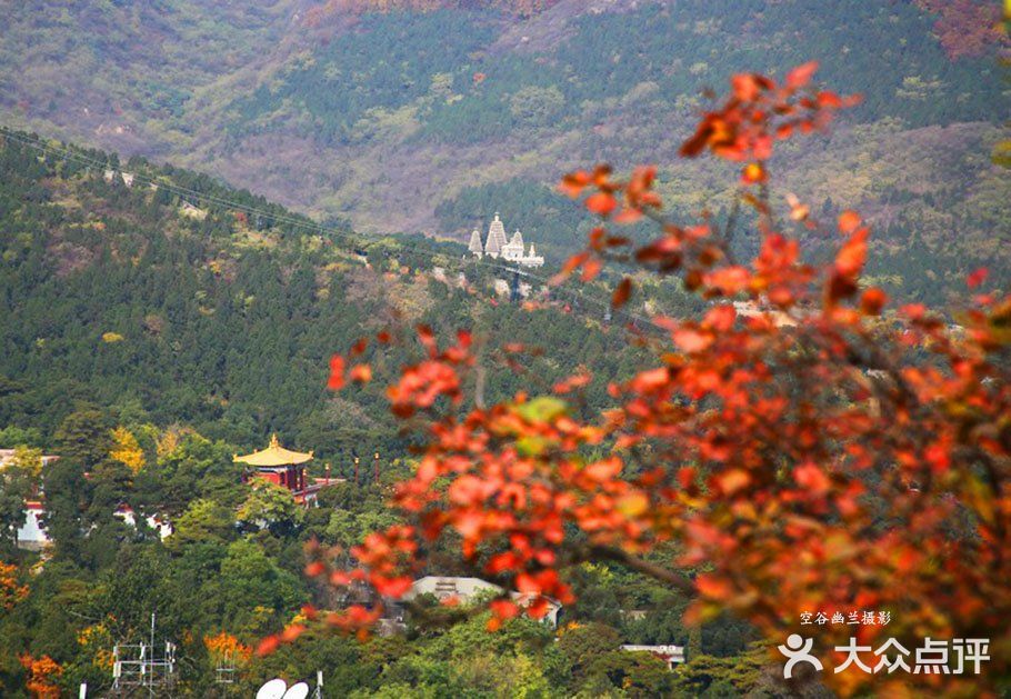 北京香山醉美秋色