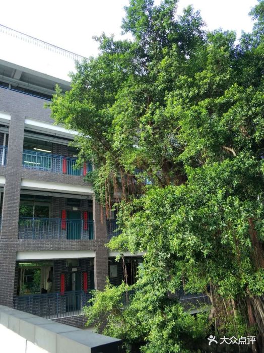 福建省福州延安中学图片 - 第3张