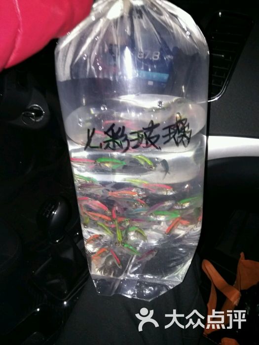 中环花鸟鱼虫市场-图片-天津购物-大众点评网