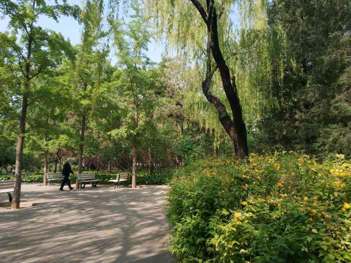 香河园公园-"饭后遛娃的好去处……[鬼脸]修了两年的.