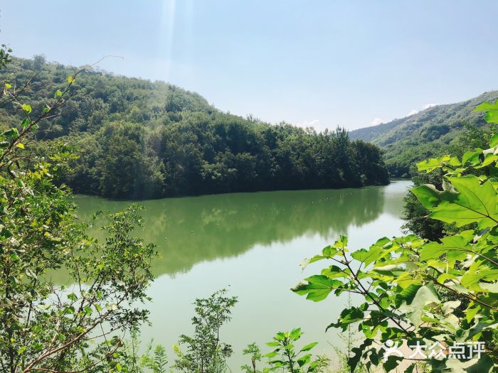 西安鲸鱼沟竹海风景区图片