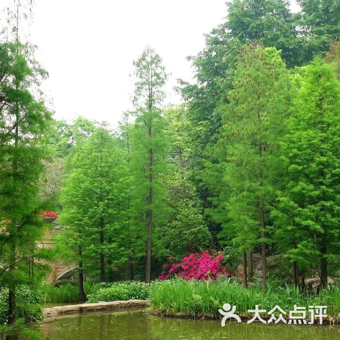 云溪生态公园