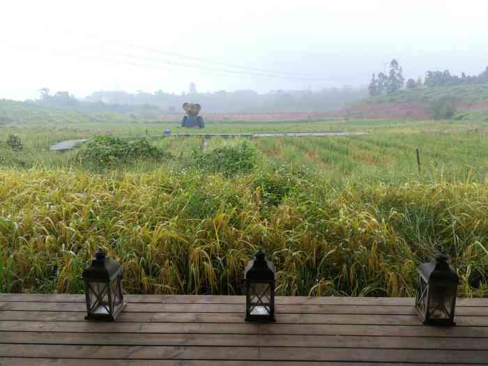 雨仙农谷-"非常非常非常满意的一次出游!在江津麻柳."-大众点评移动版