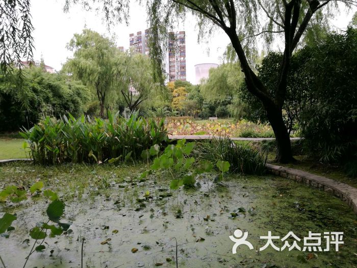 吴泾公园图片 第1张