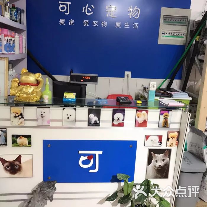 可心宠物店