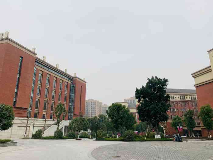 重庆市第八中学校-"重庆第八中学校渝北分校,重庆一档