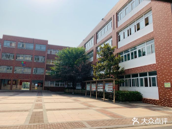 城市之光小学图片