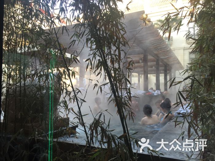 瀚金佰九号温泉酒店-图片